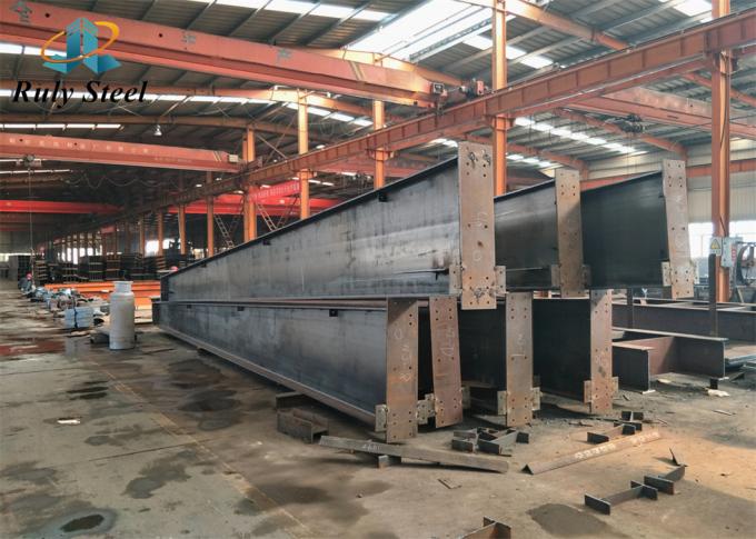 Bouw van staalconstructie-fabricage- magazijn met bovenkranen 3